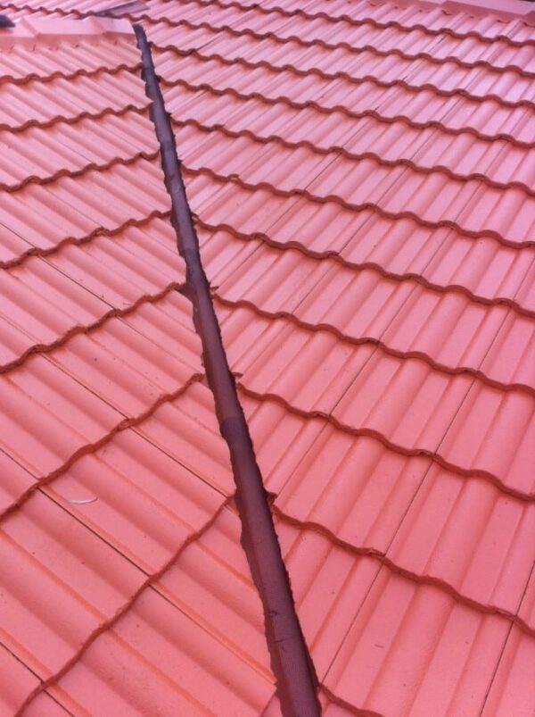 Fire Ember Guard Brisbane Gutter Guard